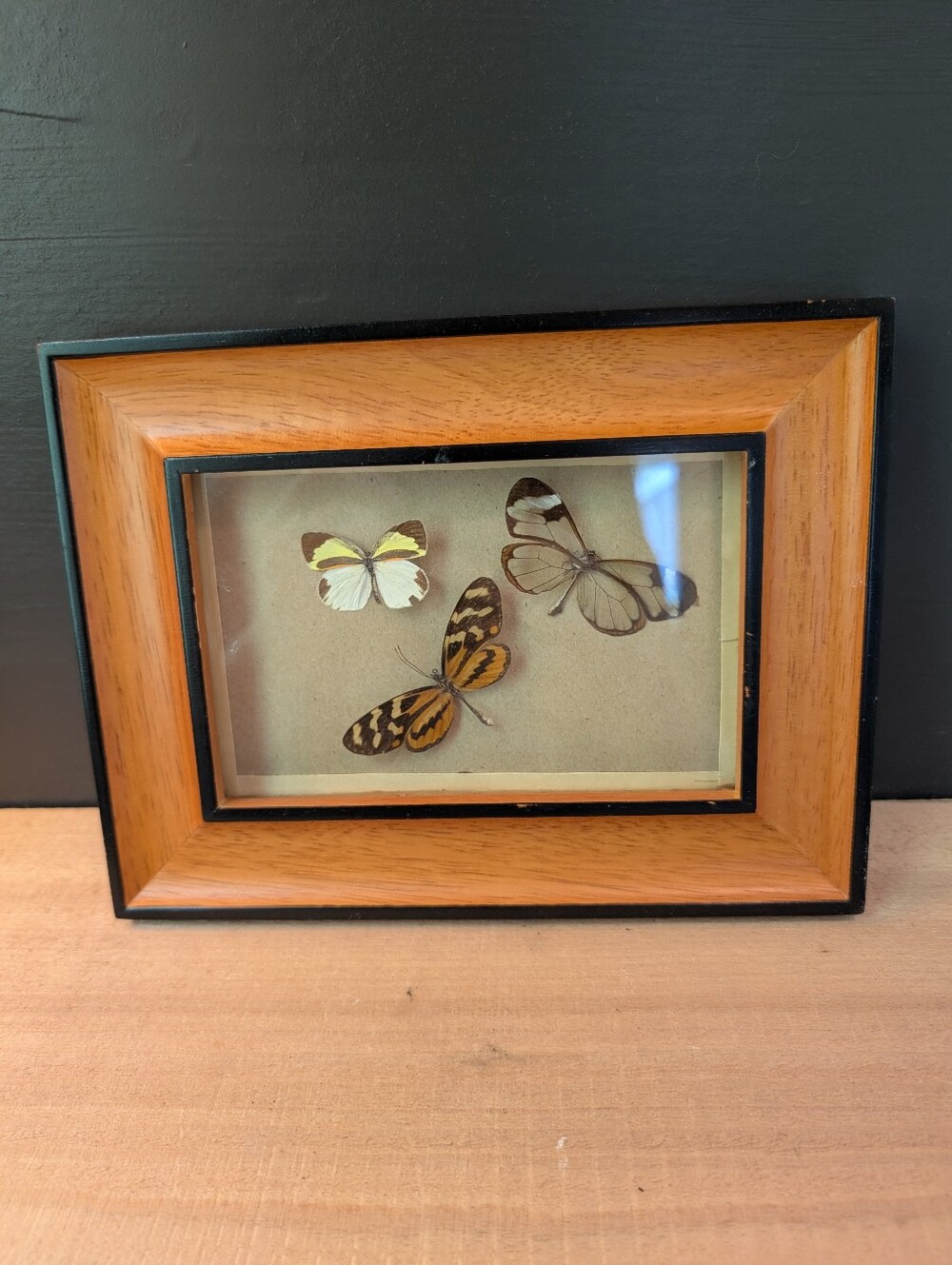 Retro Butterflies In Frame - Picture 2 of 6